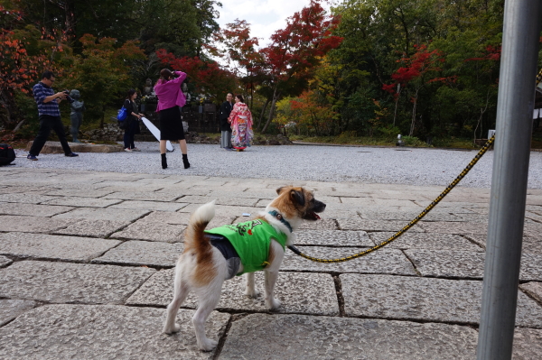 竹林寺