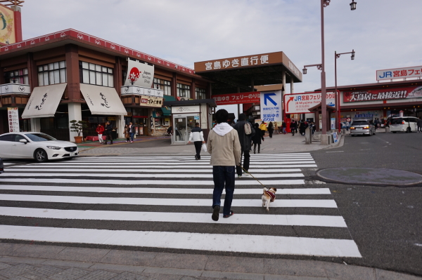 2019年-宮島-初詣