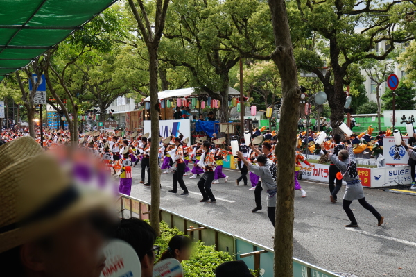 よさこい祭り