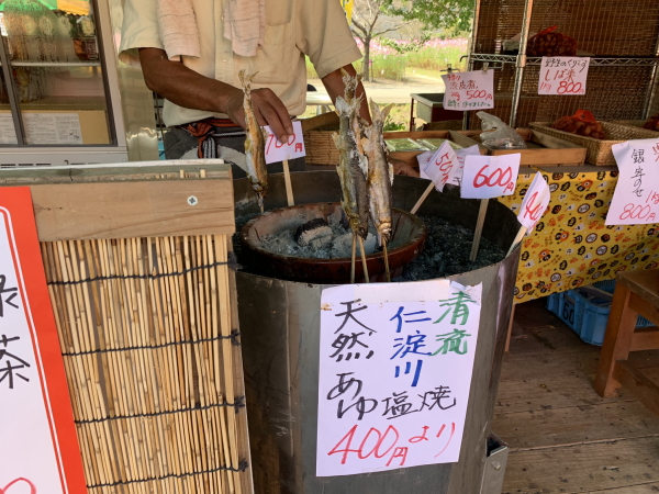 越智町コスモス祭り