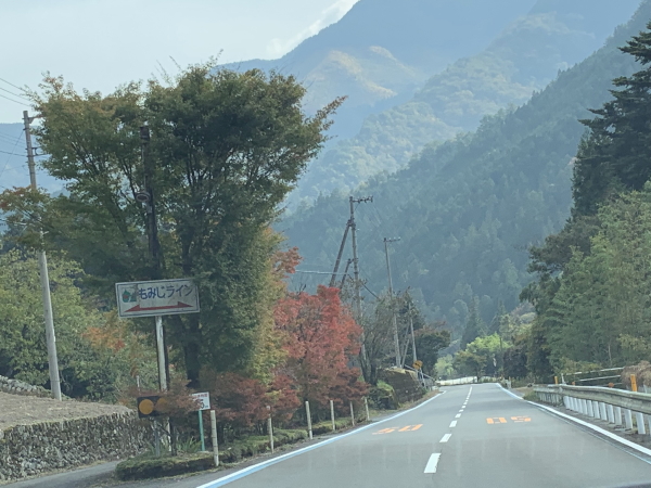 久万高原町、もみじライン