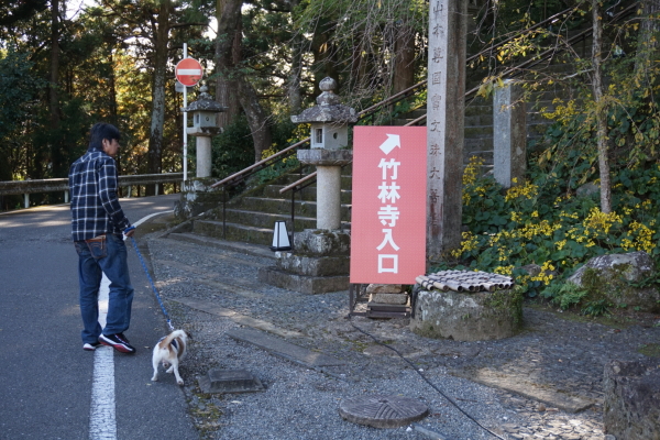 竹林寺