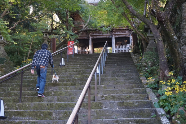 竹林寺