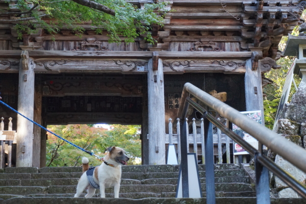 竹林寺