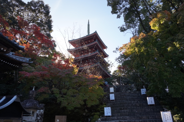 竹林寺・五重塔