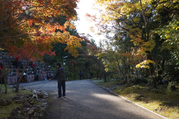 竹林寺