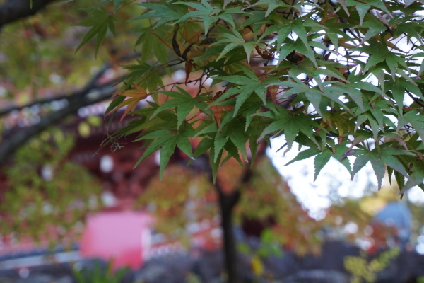 竹林寺