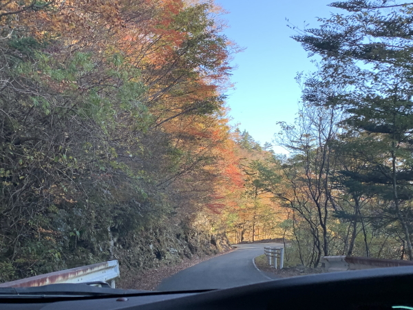 瓶が森の紅葉