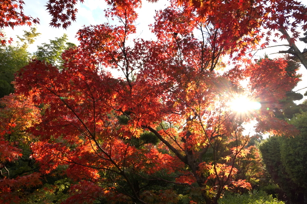 耕三寺