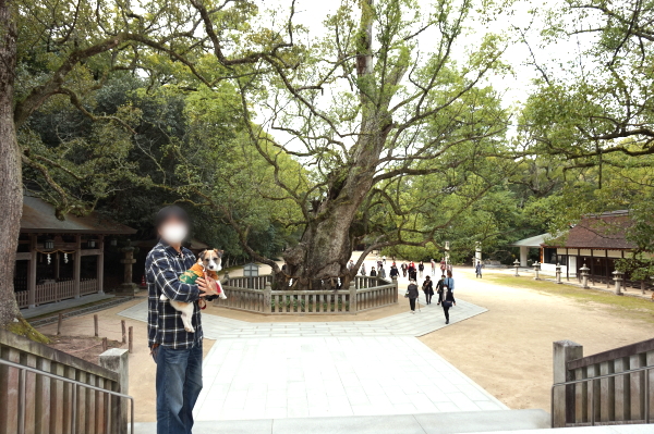 大山祇神社