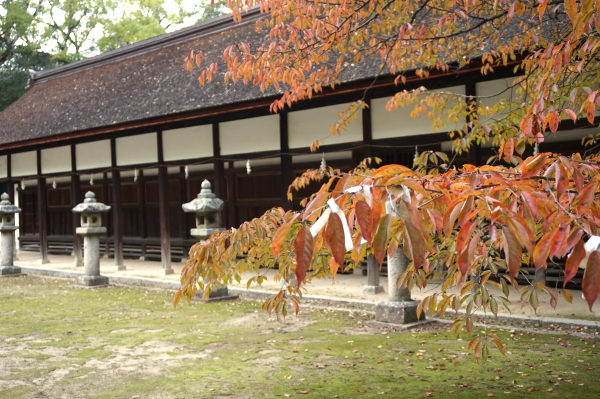 大山祇神社