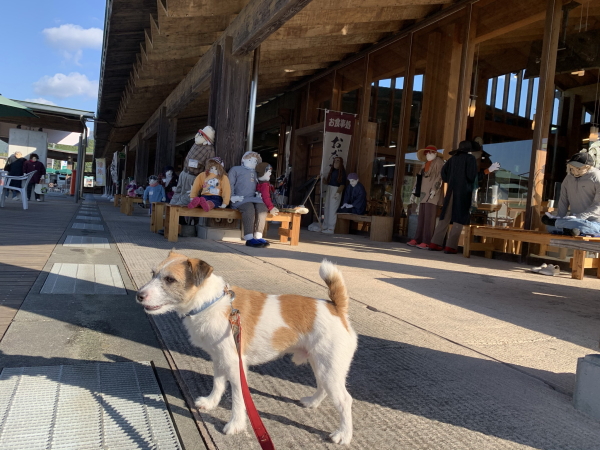 道の駅みま