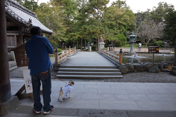 霊山寺