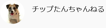 チップたんちゃんねる