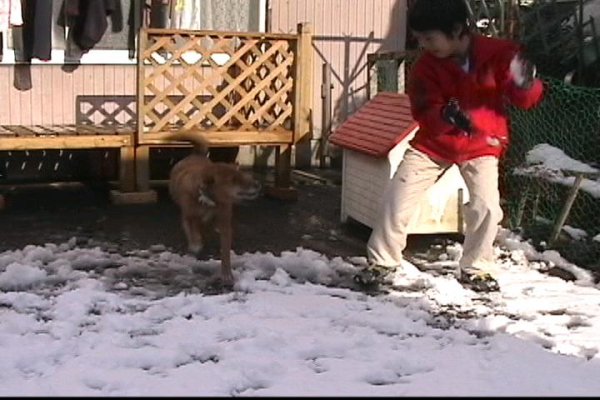 息子とこころたん