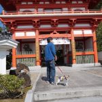 3番-金泉寺