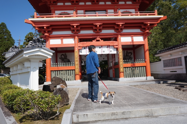 3番-金泉寺