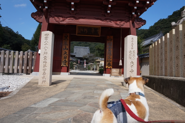 大日寺