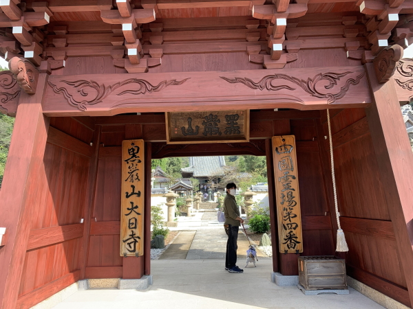 大日寺-山門